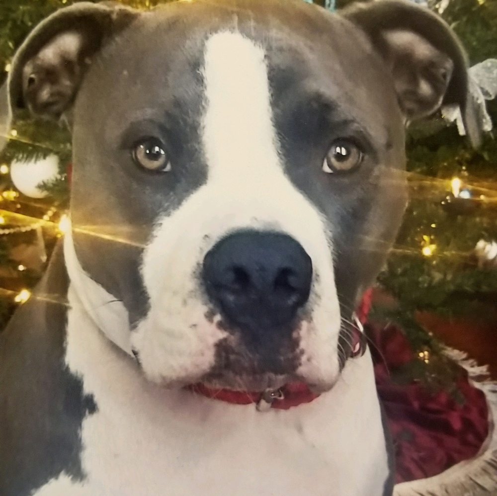 Meet your Posher, Eileen